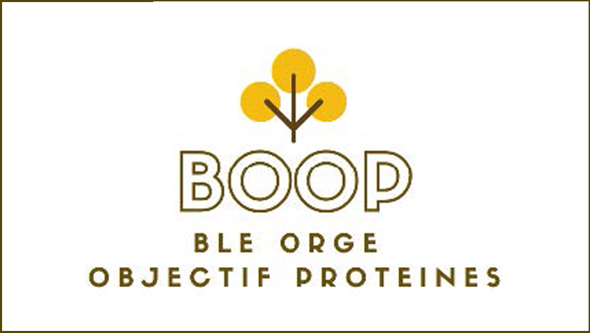 Message BOOP (Blé Orge Objectif Protéines) 2024 n° 3