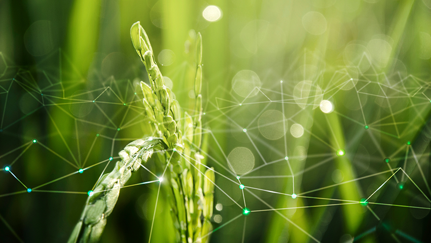 Votre nouvel infocoop est disponible