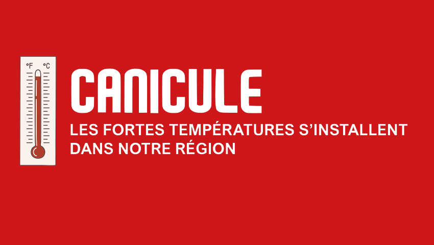 Information canicule